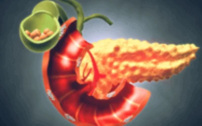 Pancreas Surgery