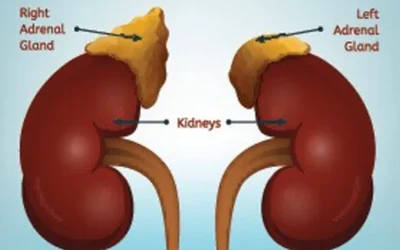 Adrenal Gland Removal Surgery