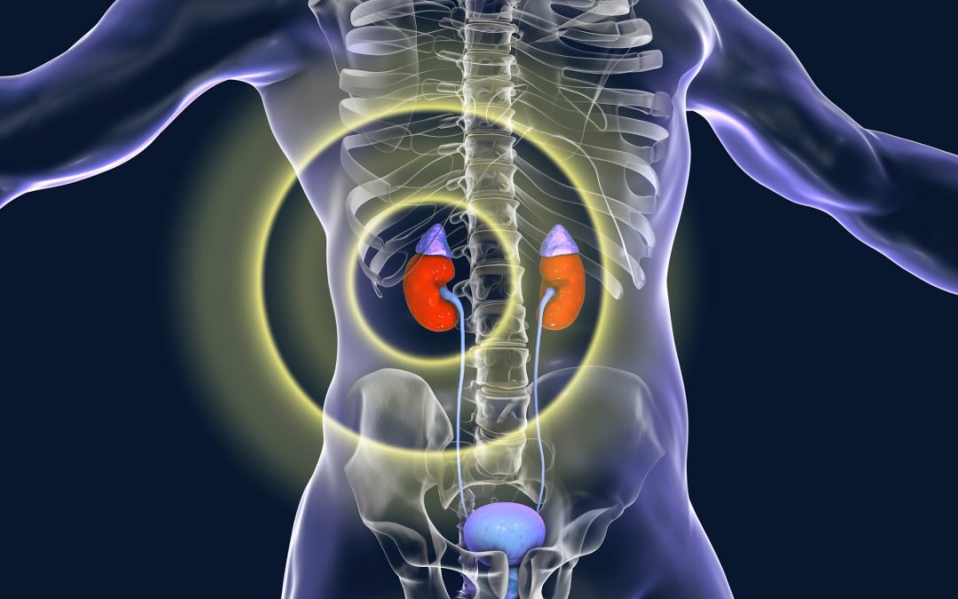 Adrenal Gland Tumor Symptoms: Warning Signs To Recognize