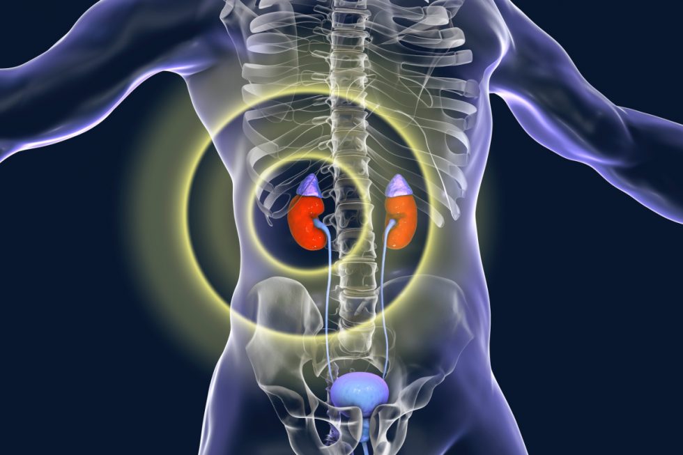 Adrenal Gland Tumor Symptoms: Warning Signs To Recognize - Scottsdale ...
