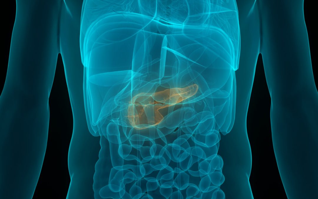 Can a Pancreas Regenerate: Understanding a Unique Organ