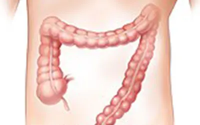 Gastrointestinal & Colorectal Surgery